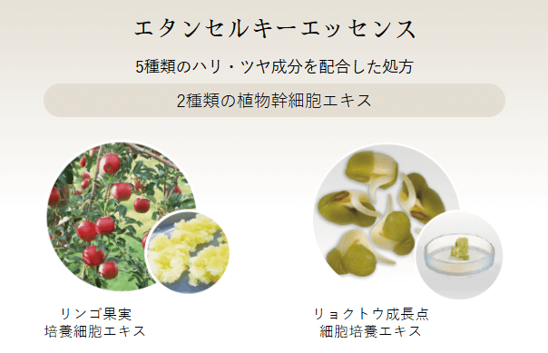 ジュレリッチ エタン