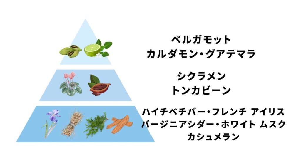 ドルセーの香水を愛用する芸能人は?選ばれる理由やおすすめアイテム