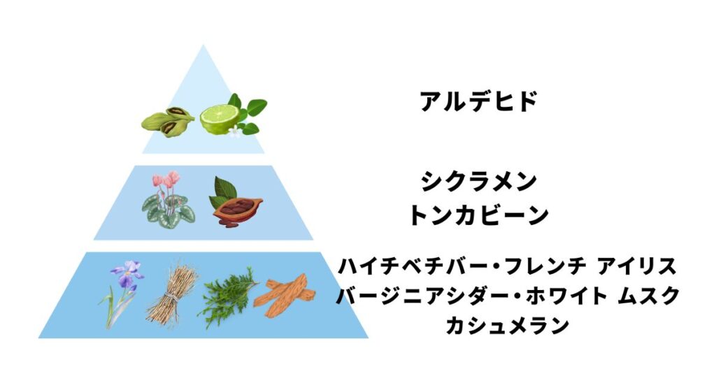 ドルセーの香水を愛用する芸能人は?選ばれる理由やおすすめアイテム