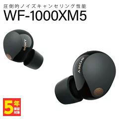 WH-1000XM5