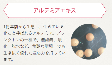 ジュレリッチ リュール成分2