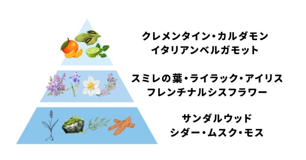 ドルセーの香水を愛用する芸能人は?選ばれる理由やおすすめアイテム