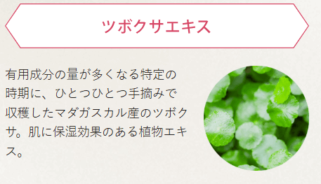 ジュレリッチ リュール成分