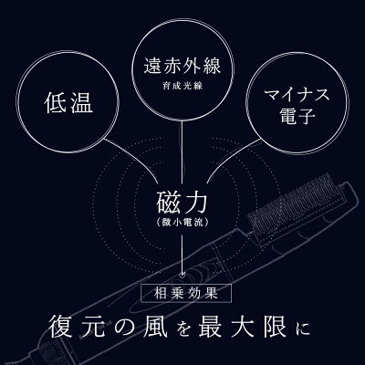 ルーヴルドー 復元スタイラー