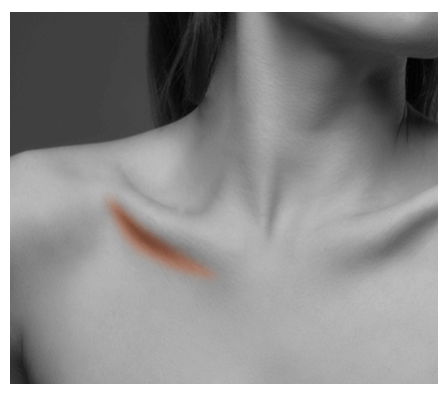 フェイスポインター