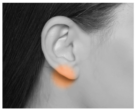 フェイスポインター