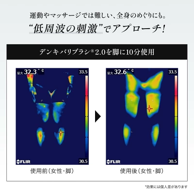 デンキバリブラシ