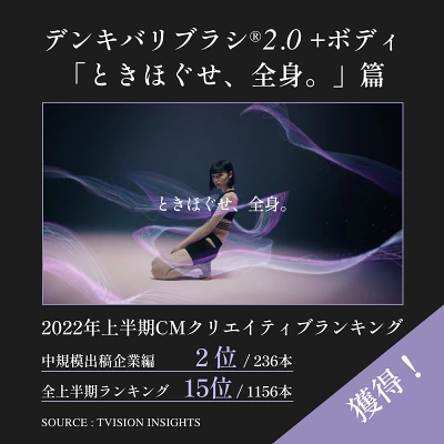 電気バリブラシ